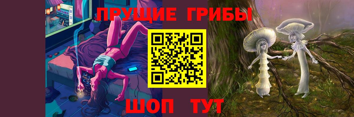 Галлюциногенные грибы Psilocybe Новокубанск